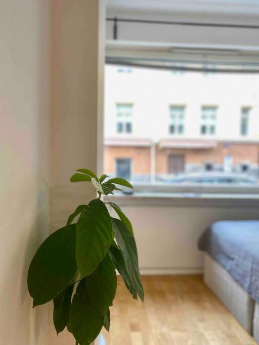 36m2 Unit In Center Hki ~15 Min Walk To Center Apartment Helsinki